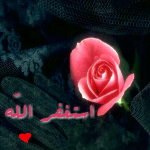 •°•تربيت على يد أم وأب لن أجد لهم مثيل ربي احفظهما كما ربياني ولا تحرمني يارب منهما•°•
http://t.co/5SVjvDiej0