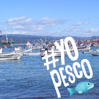 reddepescadores's profile picture. Somos pescadores artesanales de la cuenca del Bio Bio. 
Luchamos por una ley de pesca justa que nos permita subsistir.
correo rpartesanales@gmail.com