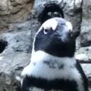 Jeff Slater - @JeffSlaterII - Twitter