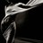 passionsniagara's profile image