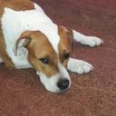 Josh Murdock - @J_Murdock0 - Twitter