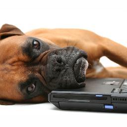 Author of 9 novels from Dr Who to The Heresy and Mary Messiah, and a videogame designer. Follow on facebookhttp://tinyurl.com/ch4cwnj. And yes, I'm a boxer dog.