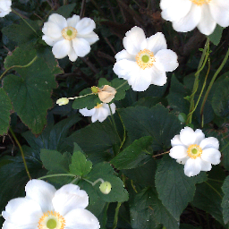 odettepurich's profile picture. 