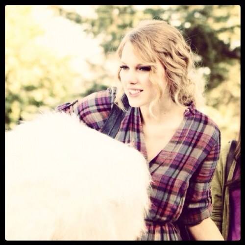 See my follow button, Yeah id tap that. But hey if you hatin tap it twice. And if you hate on taylor... Just fuck off