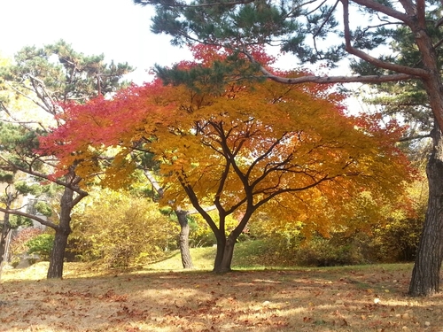 largetrees's profile picture. 