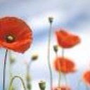 sheila kilpatrick - @sheilakilpatri1 - Twitter