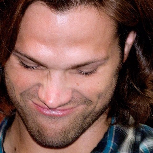 maria97perez's profile picture. Quotes said by Jared and Jensen. :)