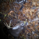 Ron Murray - @murrdawg1 - Twitter