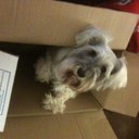 Patrick Troxler - @IradMax - Twitter