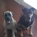 Jon Blakely - @Big_jon811 - Twitter