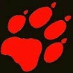 Ghostwolf74's profile picture. That's just......like....your opinion man.- The Dude