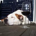 Maria Halley - @Milva75 - Twitter