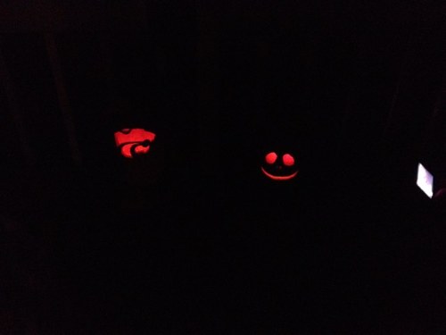 ksuwildcat2003's profile picture. 