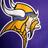 MN Vikings Fan