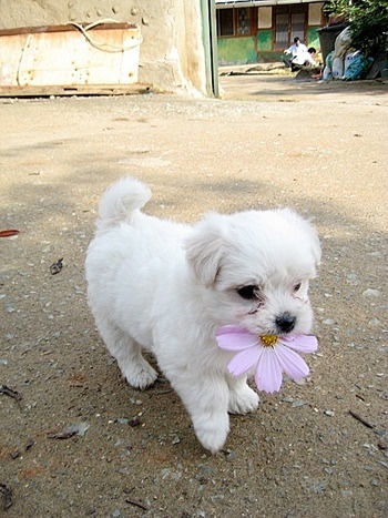 miraclerar's profile picture. 