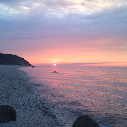 gesteve's profile picture. 