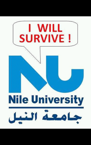 WINC, WT , ITS Senior Coordinator. Nile University.