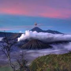 Apoteker, Terapis Multidimensi, ITC Network Guntur Bisowarno Teguh Santosa Support System, Bambu Spirit Nusantara, RUBAH TABAH NUSANTARA