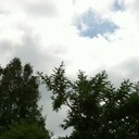 Bill Xu - @billgorush - Twitter