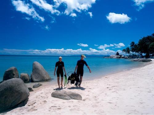 divebuddysearch's profile picture. 