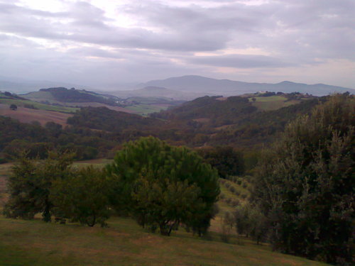 FRACINNI's profile picture. 