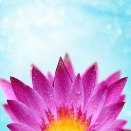 thegreatyogini's profile picture. supporting buddhist meditation practice | respect & equality for all peoples & faith systems | cdn buddhist married to an african muslim | nothing for sale