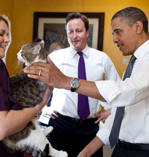 chief mouse and rat catcher at 10 downing street.