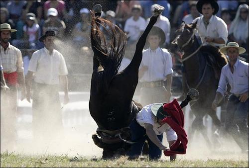 luseweidi's profile picture. 