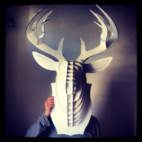 Vasilis Katsoupis - Film Director / 2AM mgmt