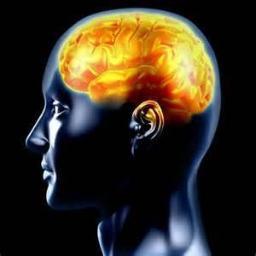 cognitiveevolut's profile picture. 