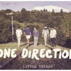 LOVE The boys, Directioner and Little things FOREVER{}
