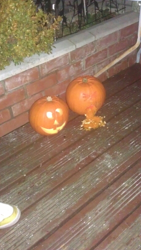 stevewright1981's profile picture. 