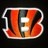 Npiecaitis's profile image
