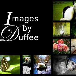 Amateur photographer--just snapping away at life.