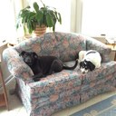 Tammy Vanover Dotson - @tjvdotson - Twitter