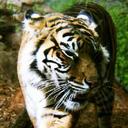 barry socks - @TheShmooMan - Twitter