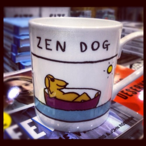 zenithious's profile picture. Vacay in the U.S of A