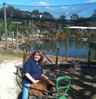 Yes, I used to ride a camel to work... Now I’m unemployed and living back home with my parents. I had a great time though! #cancersucks