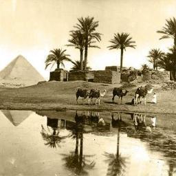 عاشت دماغي حرة مستقلة