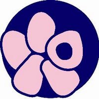 Patoloji Dern Fed (@patodernfed) Twitter profile photo