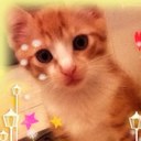 Emily Wen - @emilywen2108 - Twitter