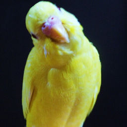 鳥をこよなく愛するClematis　of　Yuiです(・∀・)
オカメインコルチノー１羽　セキセイインコルチノー１羽飼ってます(^-^)