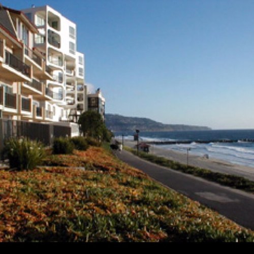 SunnyCoastRP's profile picture. @ for a role! Role suggestions are appreciated. Be sure to put SC at the end of your username!