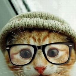 Un gato con Twitter, me gustan los triángulos, el espacio, los bigotes y las gafas de pasta