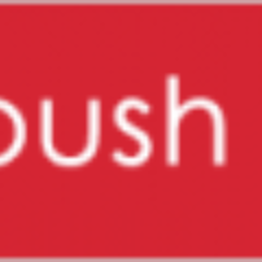 Push DC is virulently anti-politicians and parties.  PushDC believes the constitution has been rendered invalid by prostitution of system by pro pols.