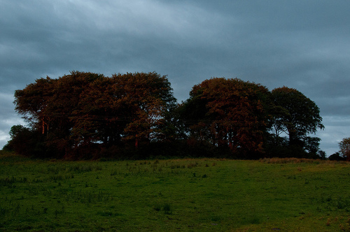 fionamccabe7's profile picture. Mammy to 7 beautiful boys!!!