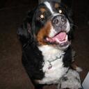 Catherine Mack - @catmac1262 - Twitter