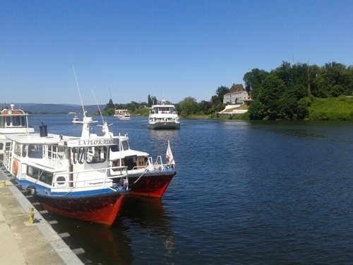 evelynpaola4's profile picture. 