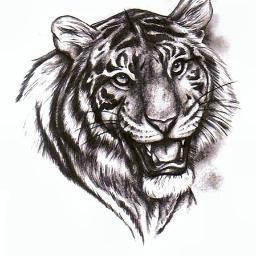 MalinovskayaY's profile picture. 