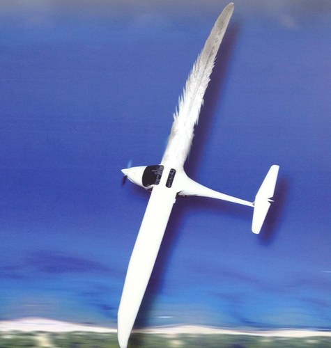 PipistrelChile's profile picture. Nuevos aires (y tecnología) para la aviación deportiva en Chile.